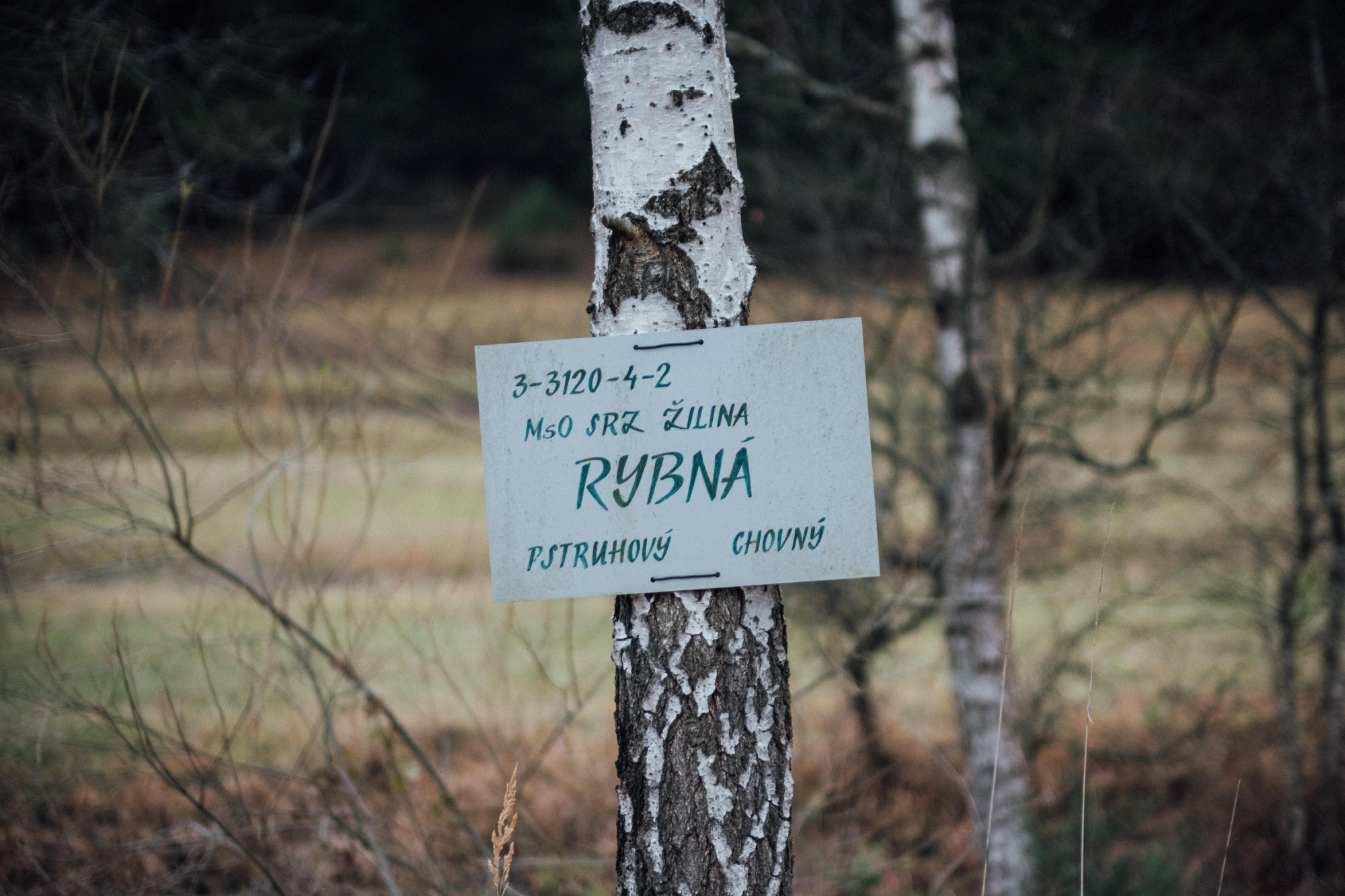 Kvapka Rajeckej doliny sa tento rok presúva z lesov aj k vodným tokom